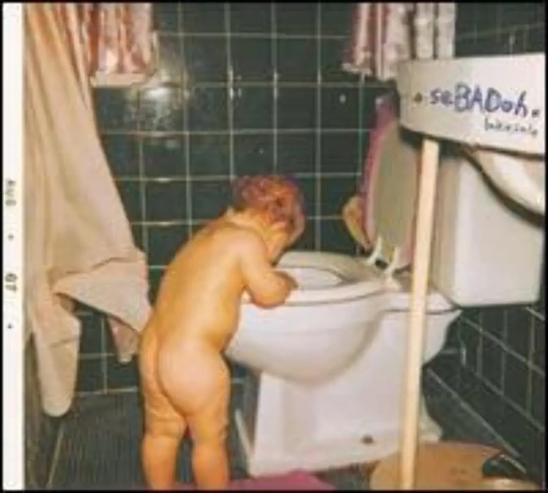 Sebadoh/Bakesale [Lp] 1
