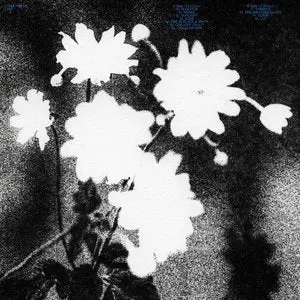 Loma Prieta/Last [Lp] 1