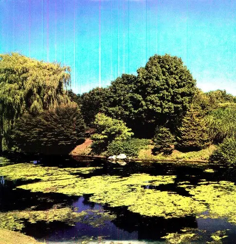 Shellac/Terraform [Lp] 1