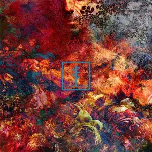 Frail Body/Artificial Bouquet (Coloured Vinyl) [Lp] 1