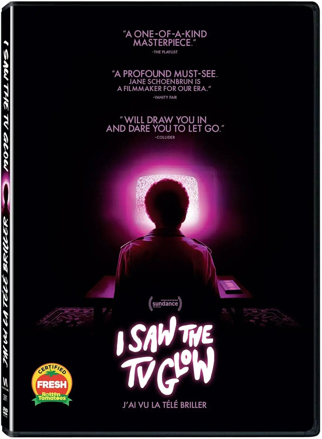 I Saw The Tv Glow Dvd [Dvd] 1