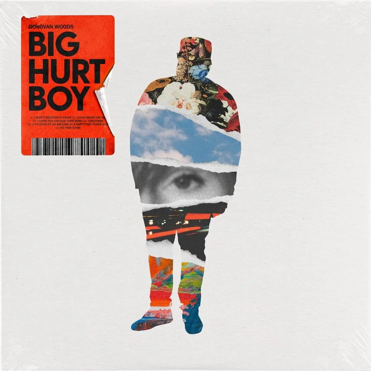Woods, Donovan/Big Hurt Boy [Compact Disc] 1