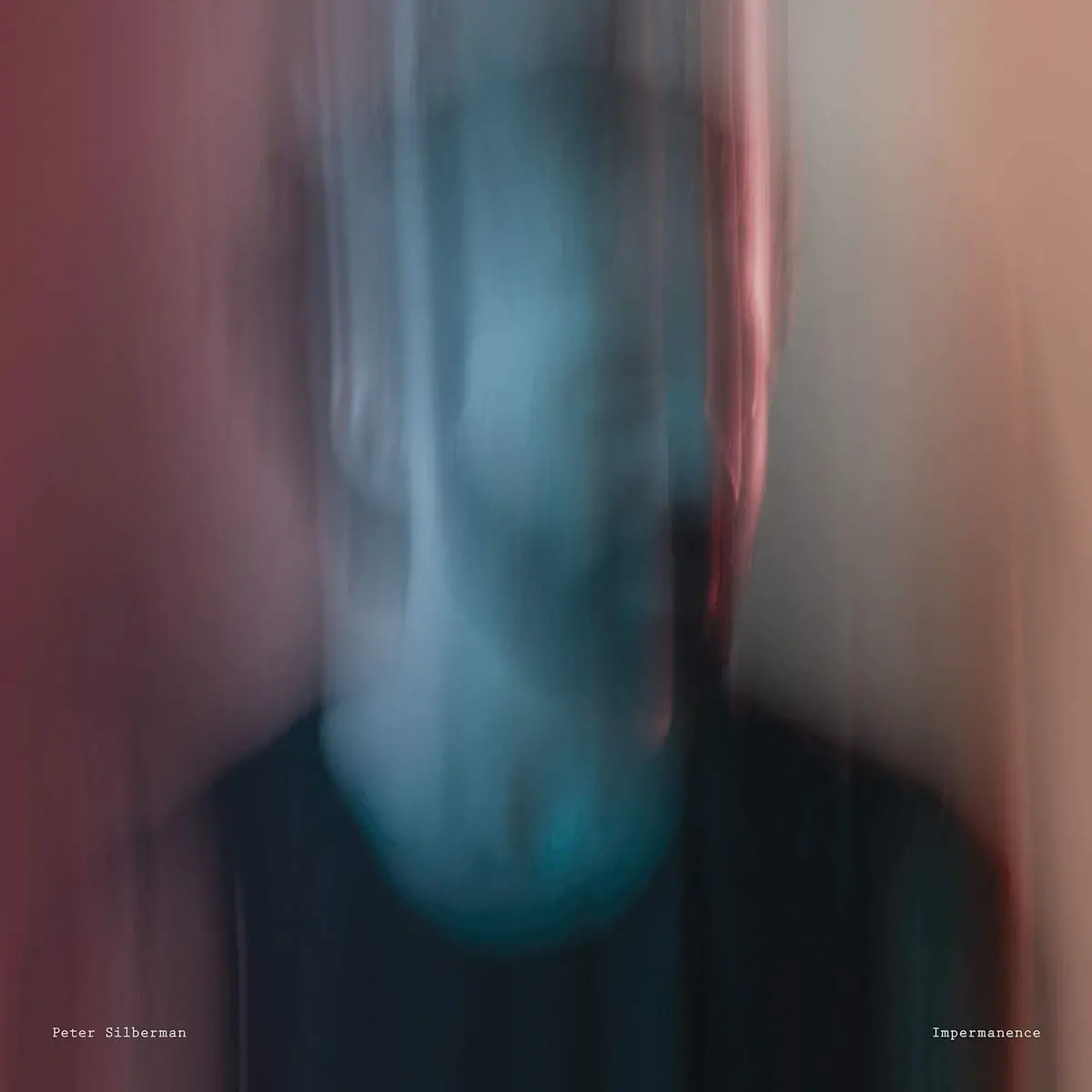 Silberman, Peter/Impermanence [Lp] 1