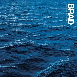 Brad/In The Moment That You're Born [Lp] 1