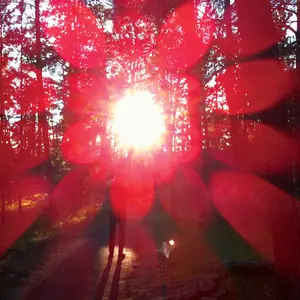 Russian Circles/Empros (Indie Exclusive Magenta & Black Vinyl) [Lp] 1