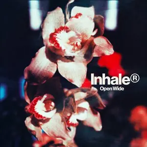 Inhaler/Open Wide [Cd] 1