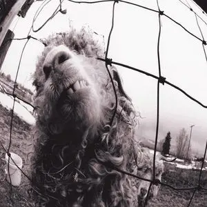 Pearl Jam/Vs. [Cd] 1