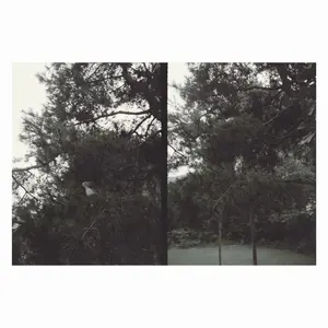 Lee, Okkyung/Just Like Any Other Day [Lp] 1