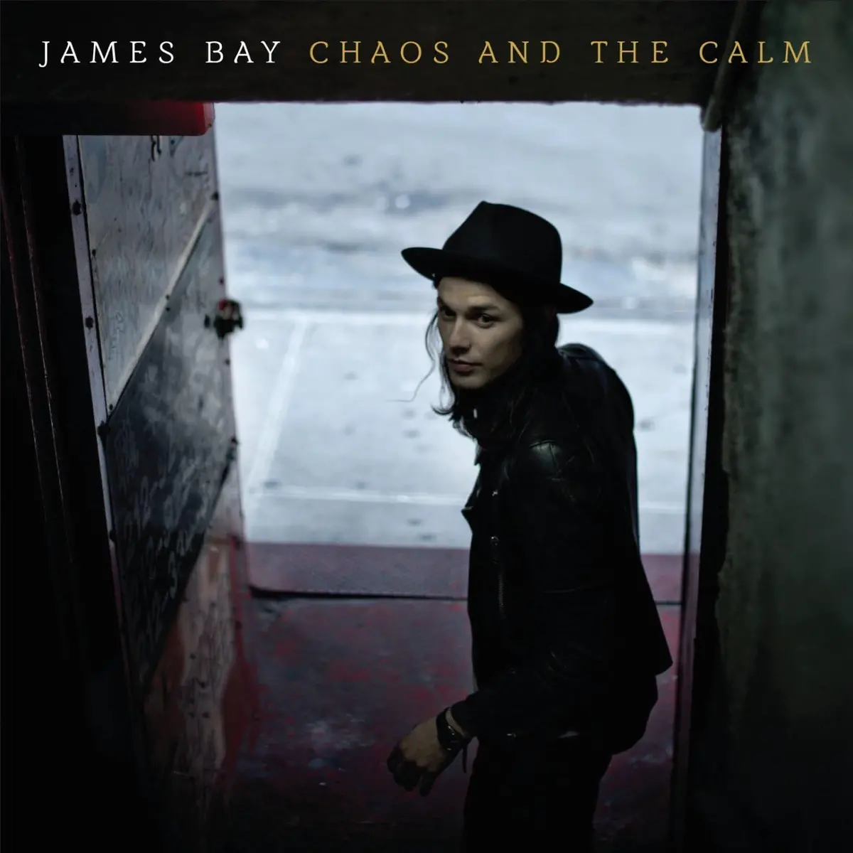 Bay, James/Chaos And The Calm [Lp] 1