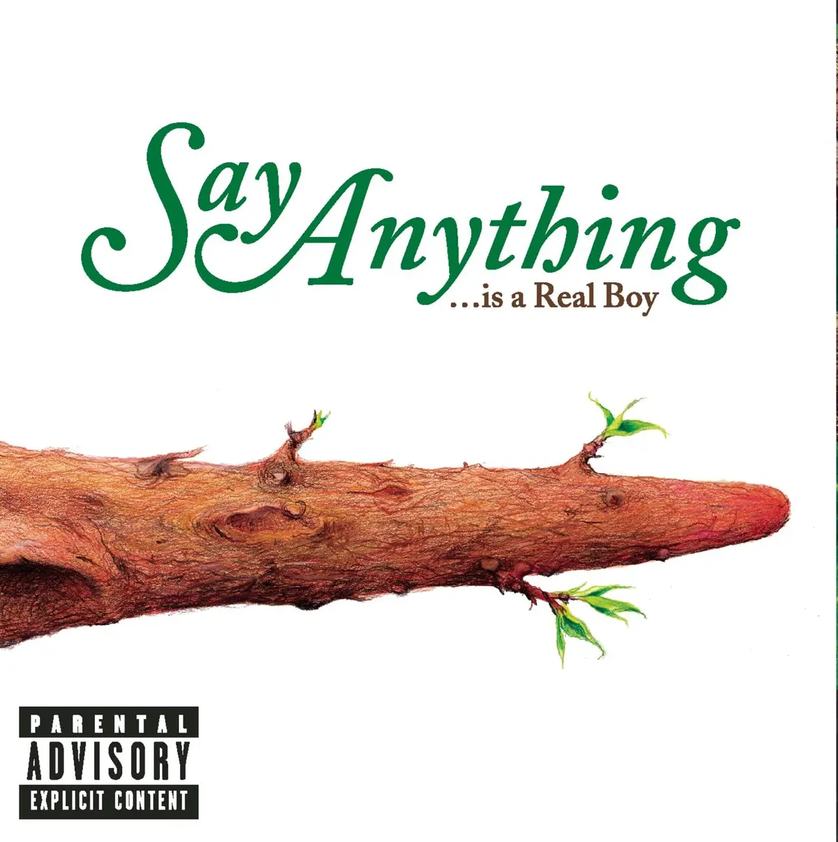 Say Anything/Is A Real Boy [Vinyl Lp Record] 1
