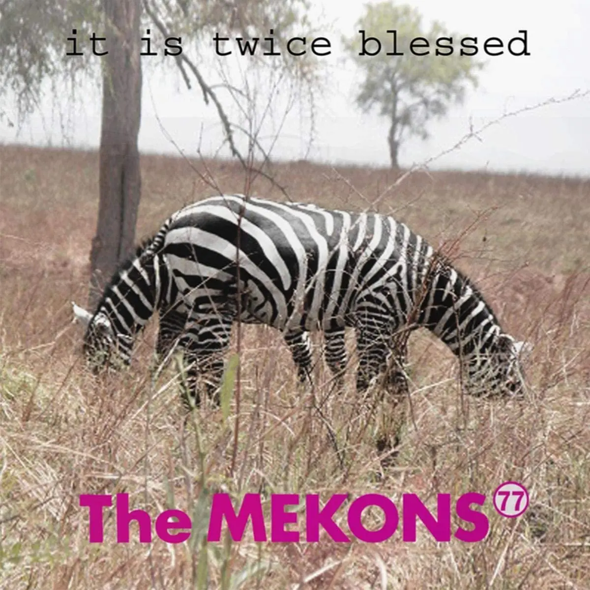 Mekons 77, The/It Is Twice Blessed [Lp] 1