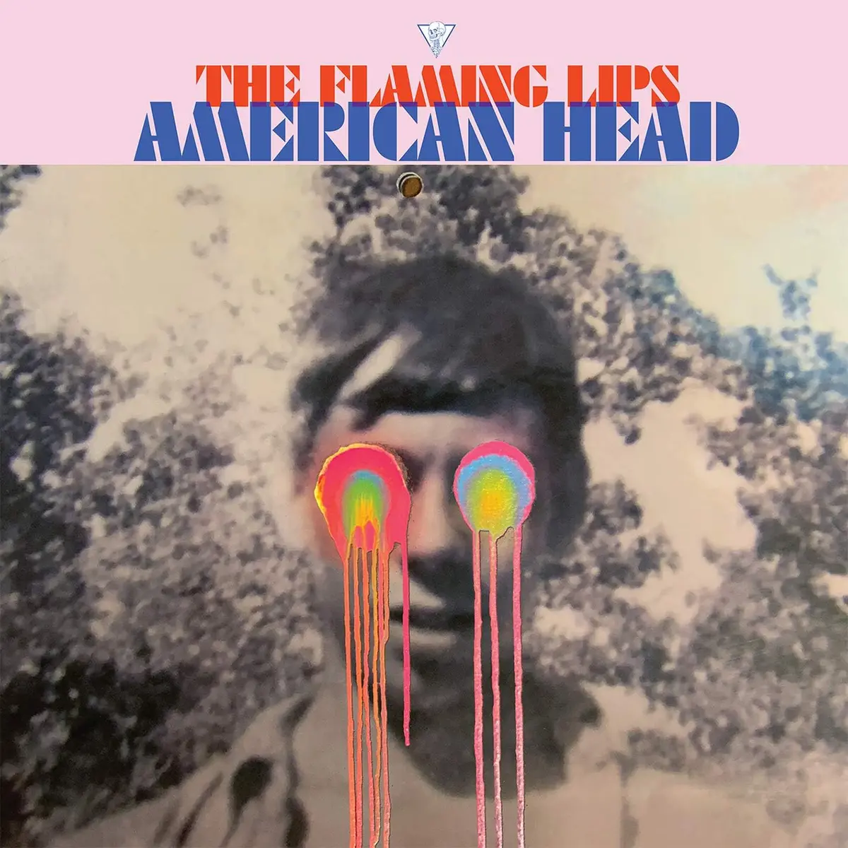 Flaming Lips, The/American Head [Cd] 1