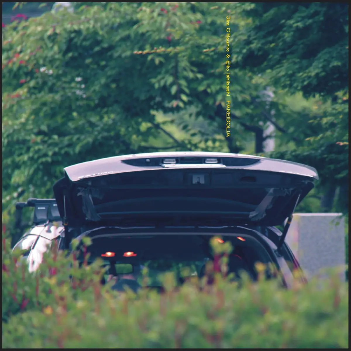 Ishibashi, Eiko & Jim O'rourke/Pareidolia [Lp] 1