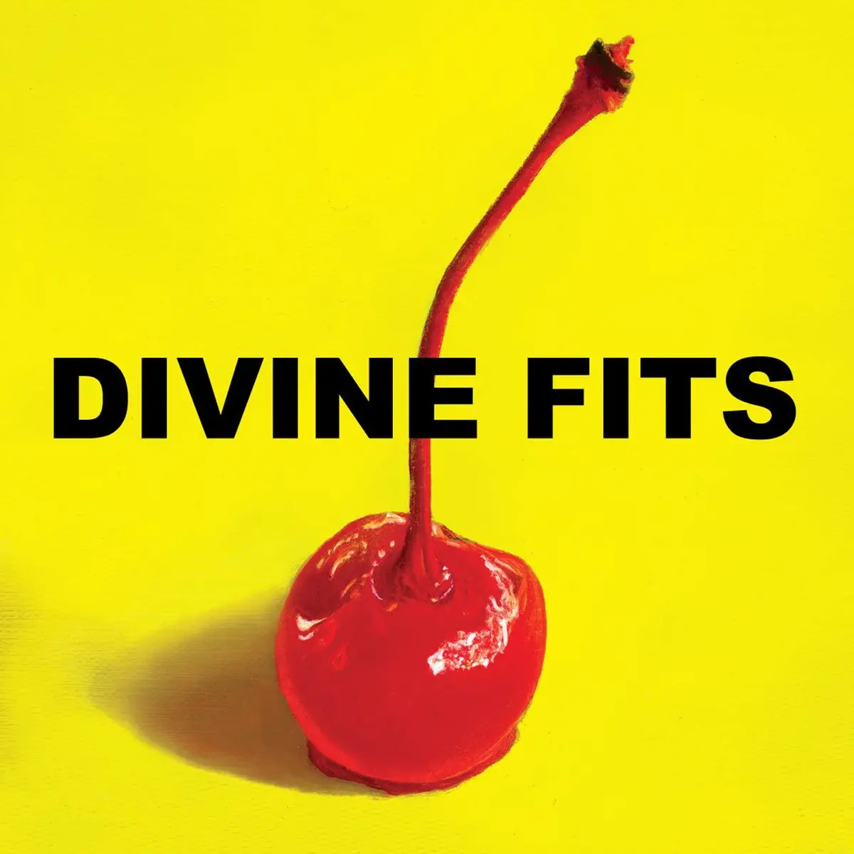 Divine Fits/A Thing Called Divine Fits [Lp] 1