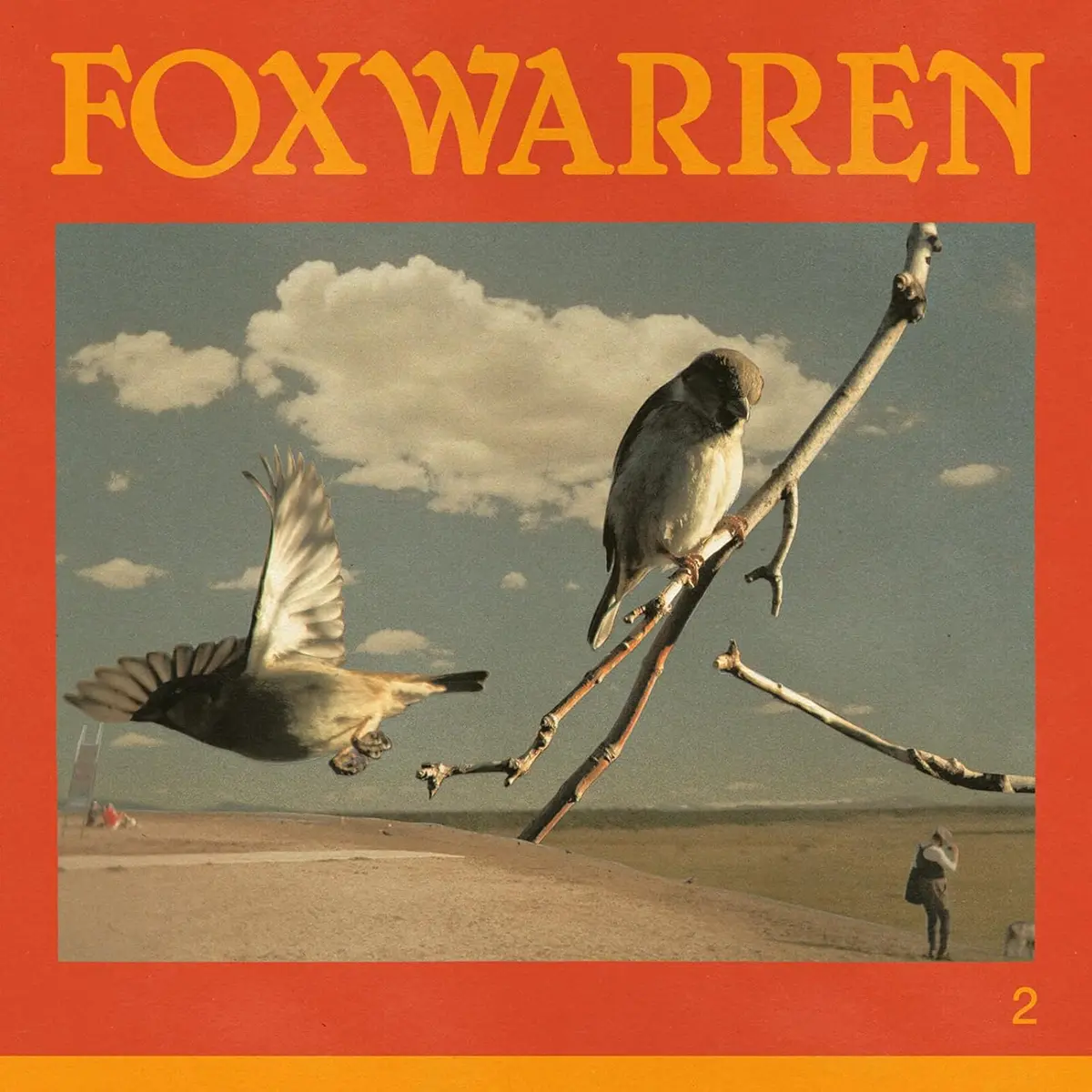 Foxwarren (Andy Shauf)/2 [Cd] 1