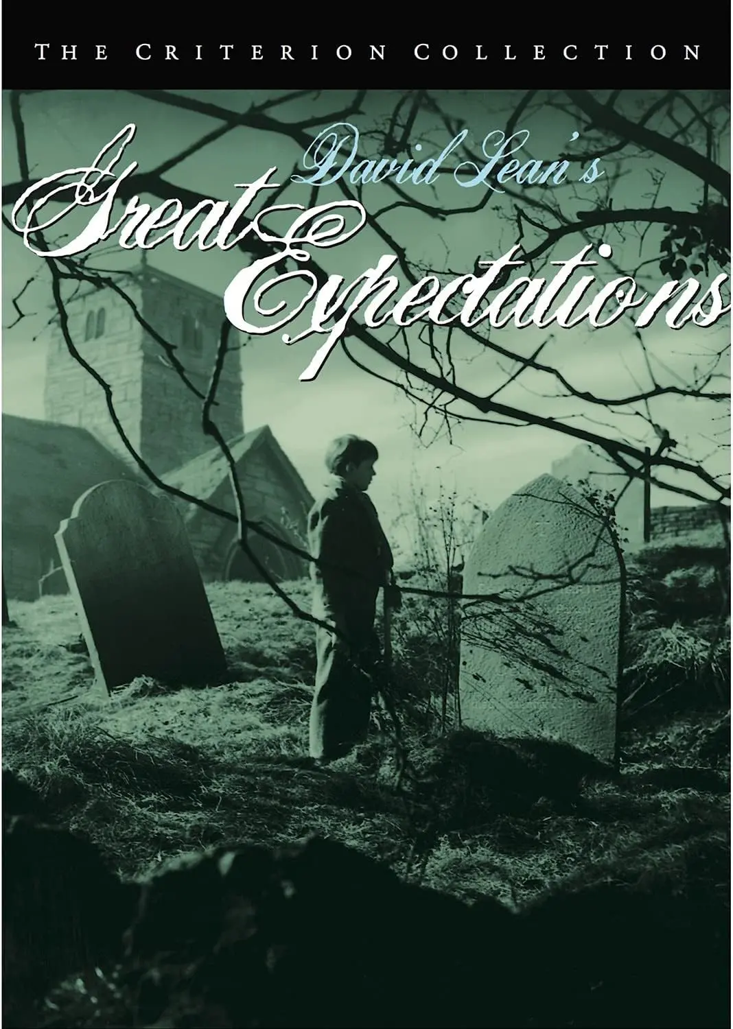 Great Expectations [Dvd] 1