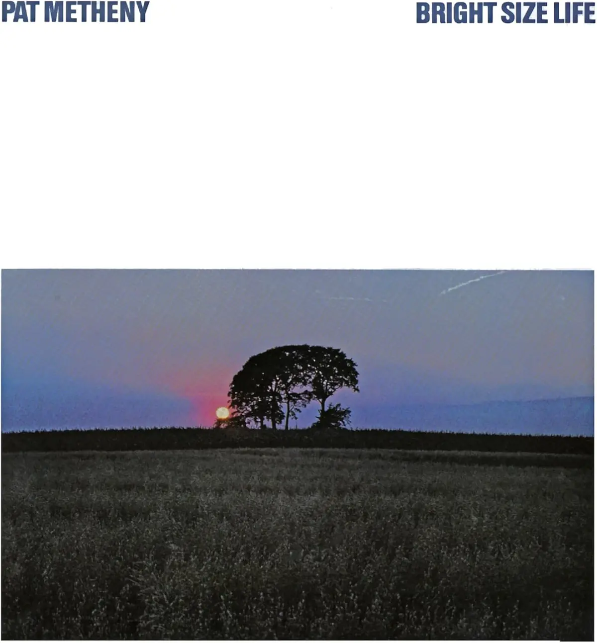 Metheny, Pat/Bright Size Life [Lp] 1