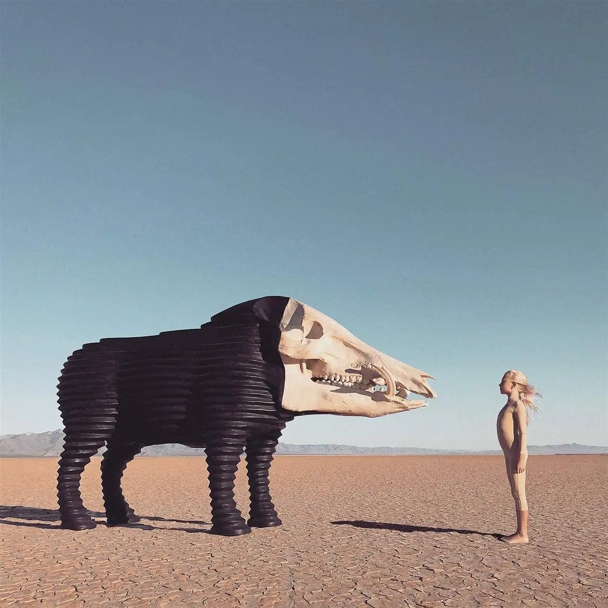 Man Man/Dream Hunting In The Valley Of The In-Between [Lp] 1