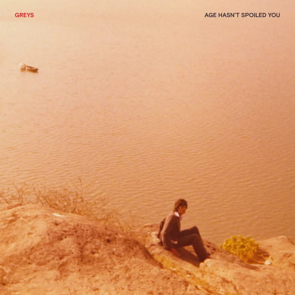 Greys/Age Hasn't Spoiled You [Lp] 1