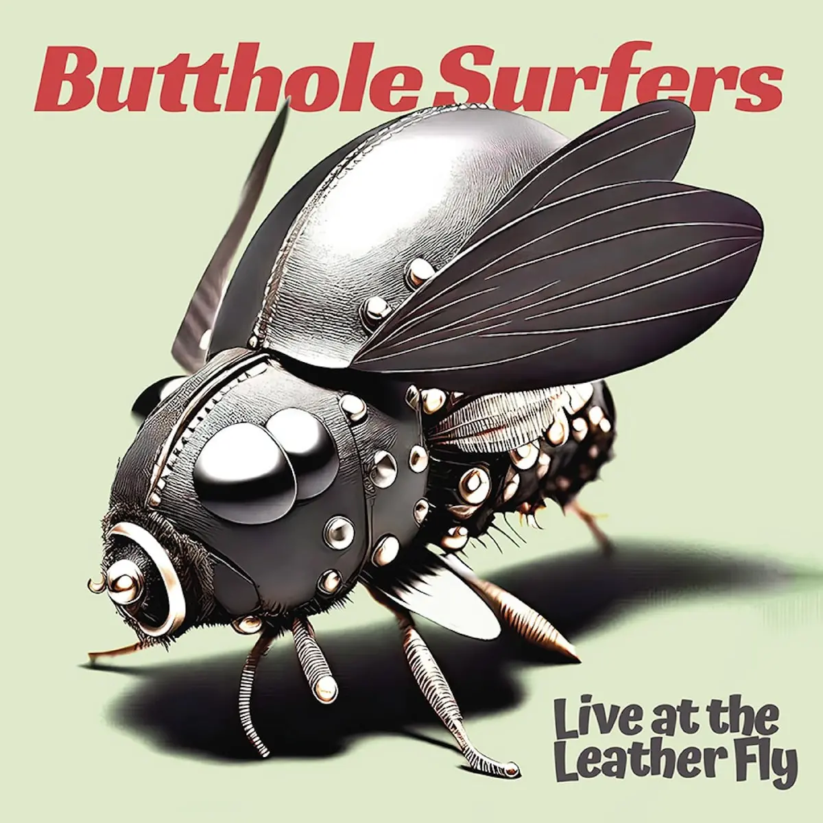 Butthole Surfers/Live At The Leather Fly (Opaque Pink Vinyl) [Lp] 1