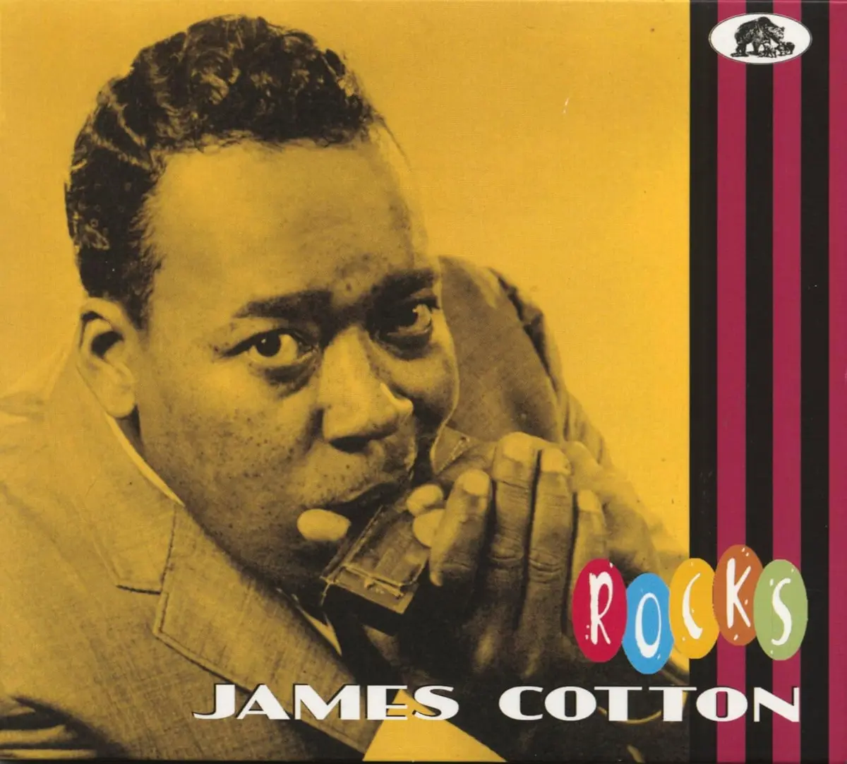 Cotton, James/Rocks [Cd] 1