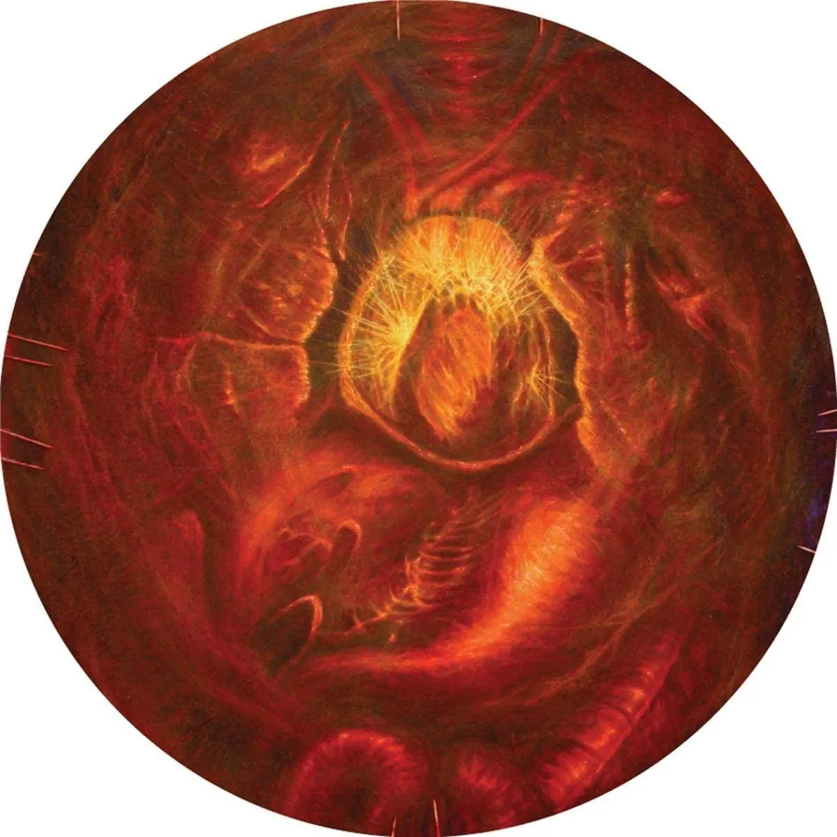 Shai Hulud/Hearts Once Nourished With Hope And Compassion [Lp] 1