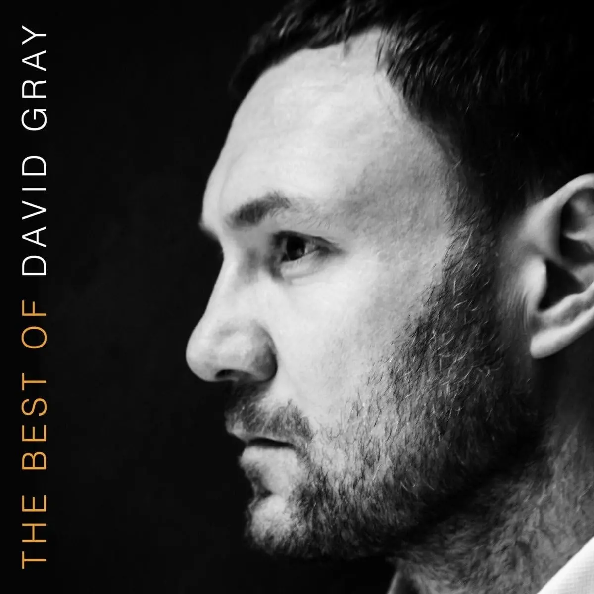 Gray, David/The Best Of (Black Vinyl) [Lp] 1