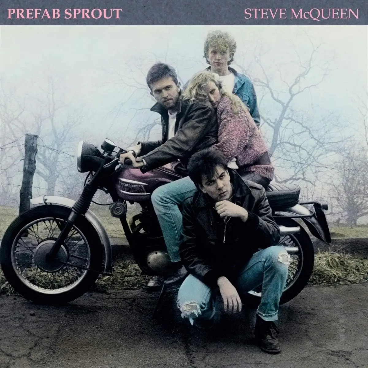 Prefab Sprout/Steve Mcqueen [Lp] 1