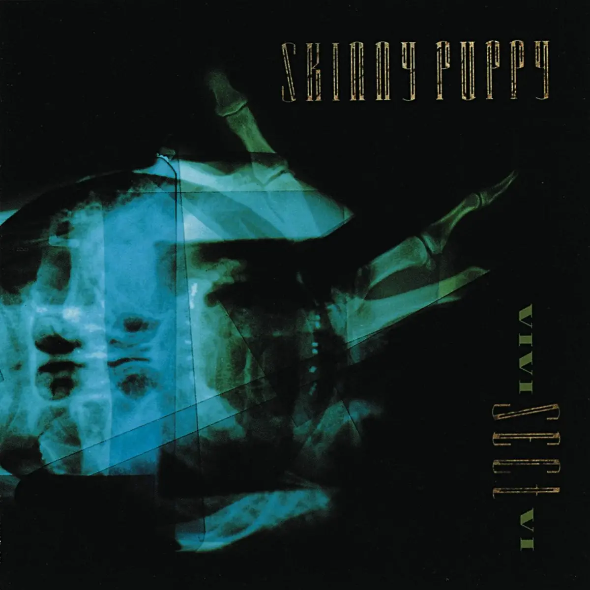 Skinny Puppy/Vivi Sect Vi [Lp] 1