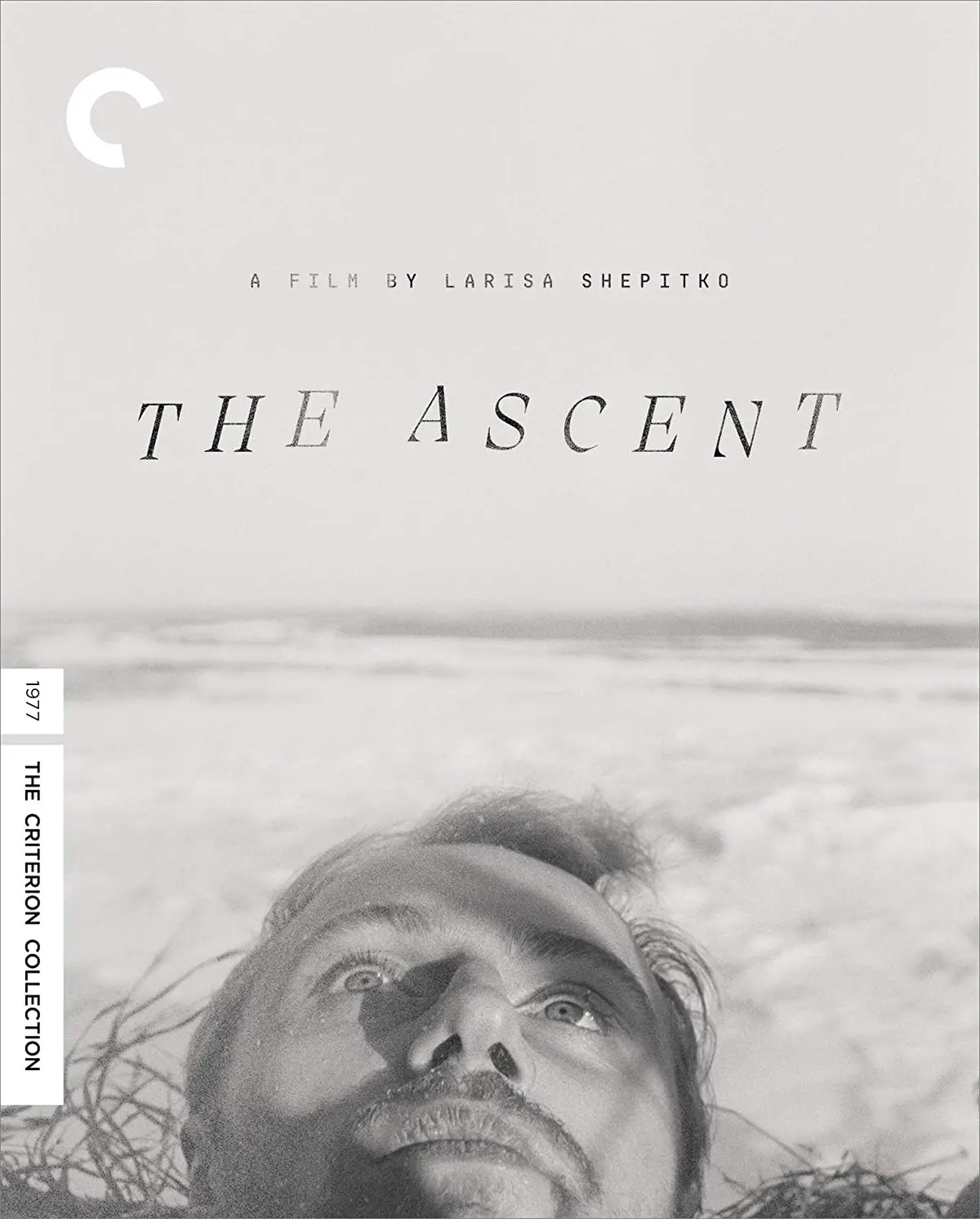 The Ascent [Bluray] 1