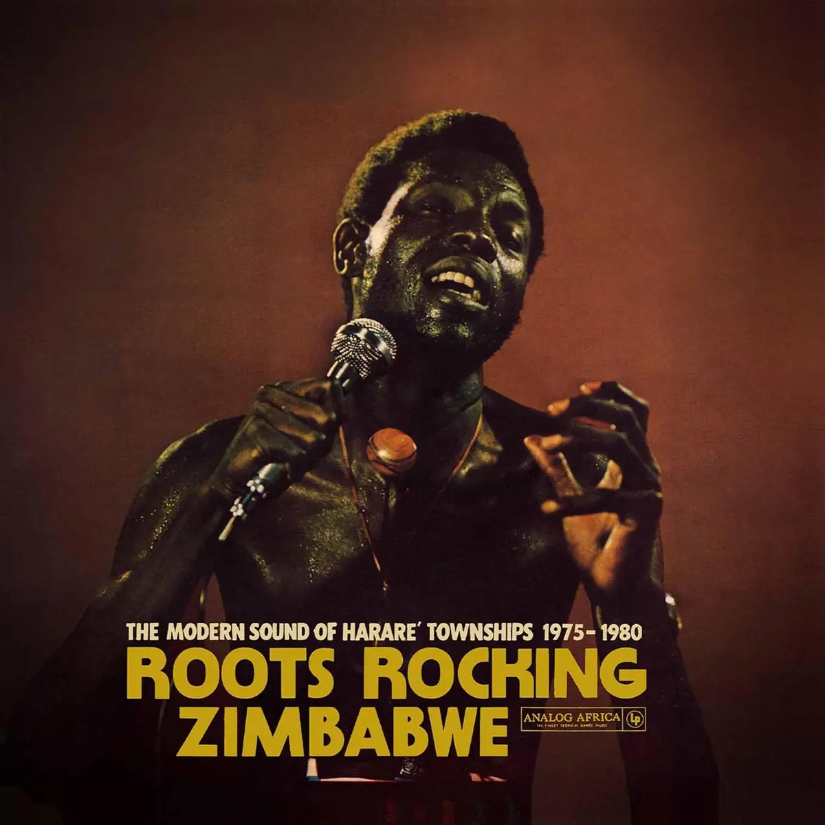 Various Artists/Roots Rocking Zimbabwe - The Modern Sound Of Harare Townships 1975-1980 [Lp] 1