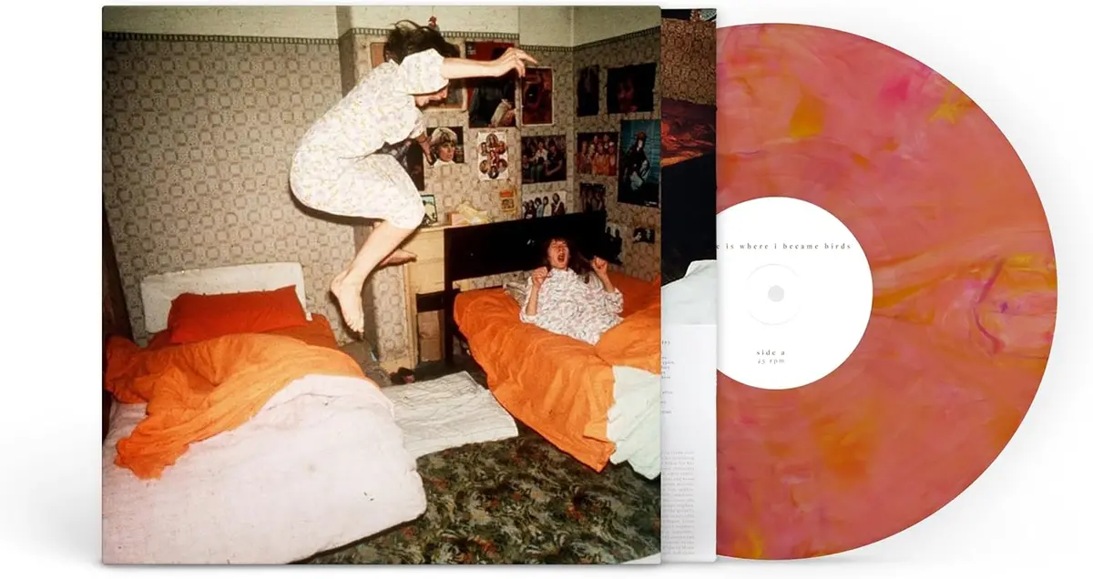 Home Is Where/I Became Birds (Guava Blend Vinyl) [Lp] 1