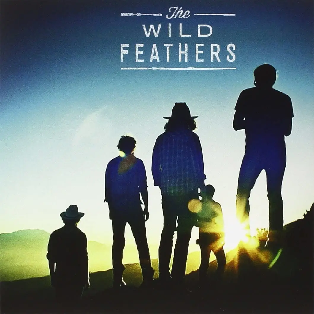 Wild Feathers/Got It Wrong [7"] 1