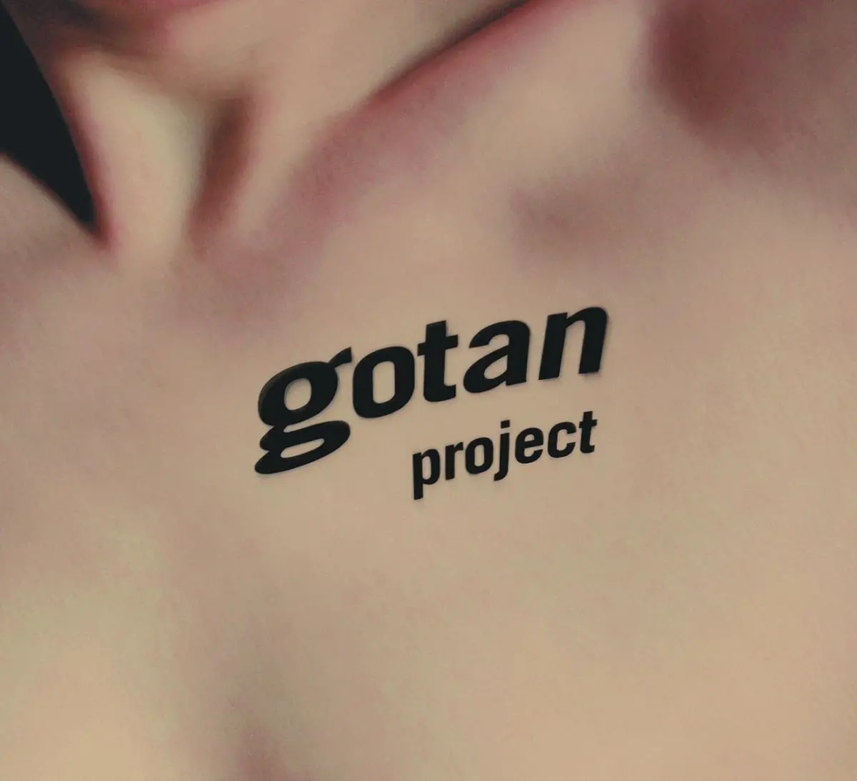 Gotan Project/La Revancha Del Tango [Lp] 1