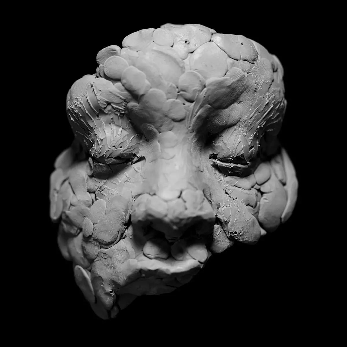 Oladokun, Joy/Observations From A Crowded Room [Lp] 1