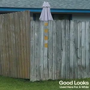 Good Looks/Lived Here For A While (Pink Vinyl) [Lp] 1