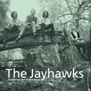Jayhawks, The/Tomorrow The Green Grass [Lp] 1