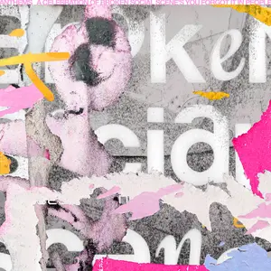 Various Artists/Anthems: A Celebration Of Broken Social Scene's You Forgot It In People [Lp] 1
