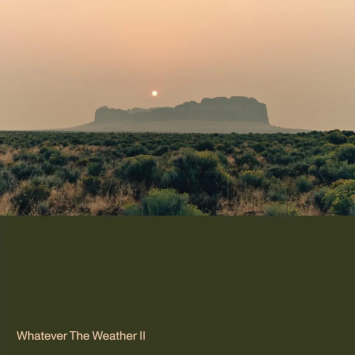 Whatever The Weather/Whatever The Weather Ii (Dark Green Vinyl) [Lp] 1