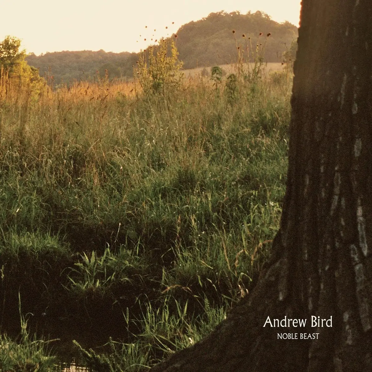 Bird, Andrew/Noble Beast [Lp] 1