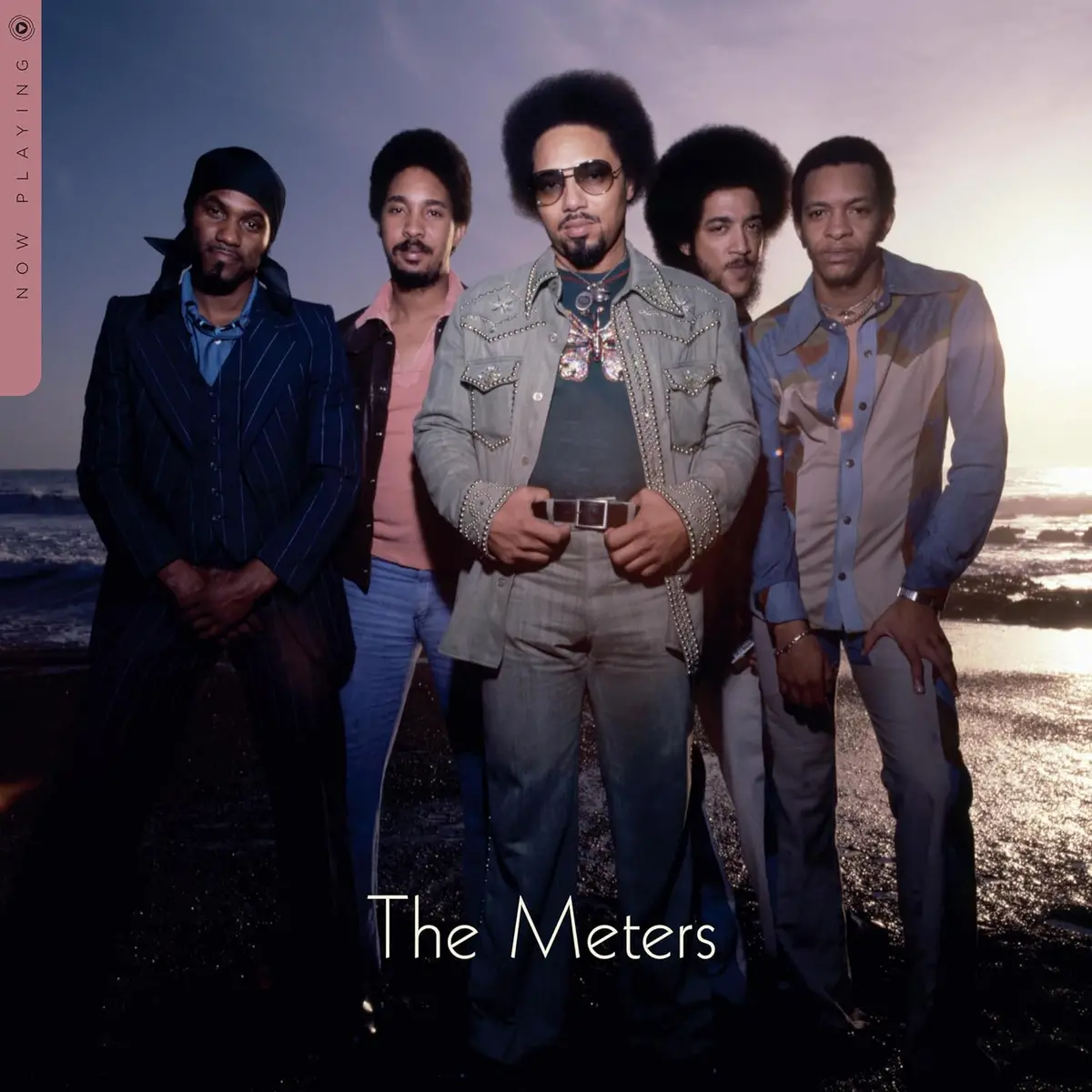 Meters, The/Now Playing [Lp] 1