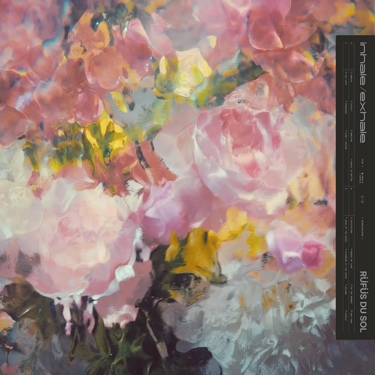 Rufus Du Sol/Inhale / Exhale (Diffused Black Vinyl) [Lp] 1