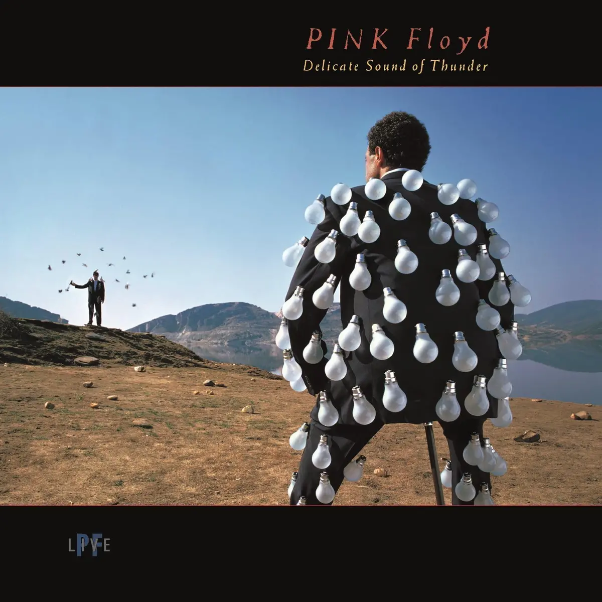 Pink Floyd/Delicate Sound Of Thunder [Lp] 1