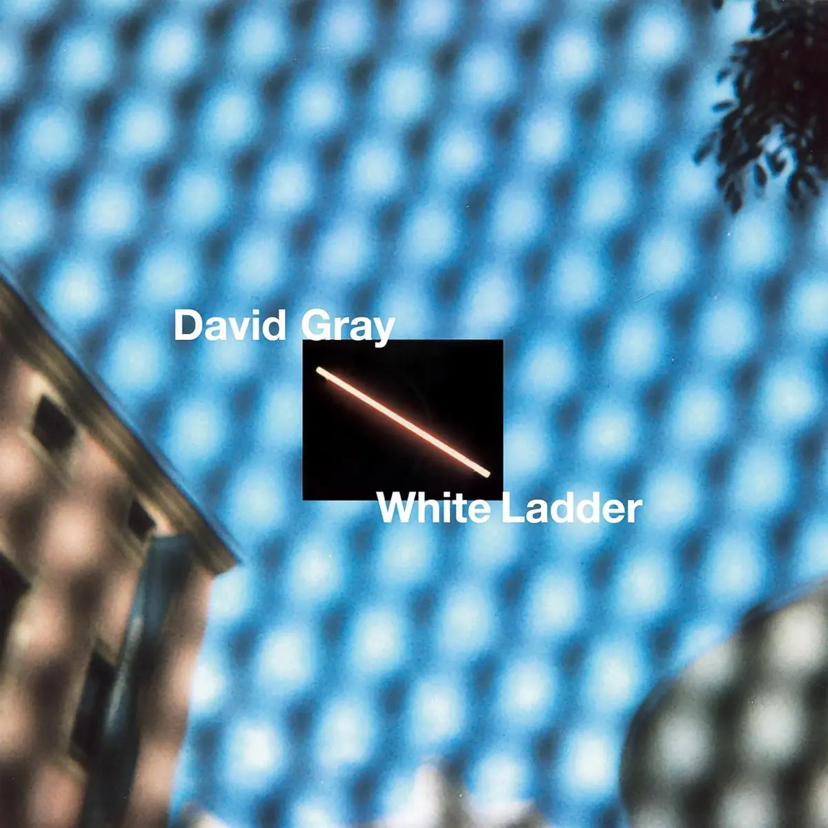 Gray, David/White Ladder [Lp] 1