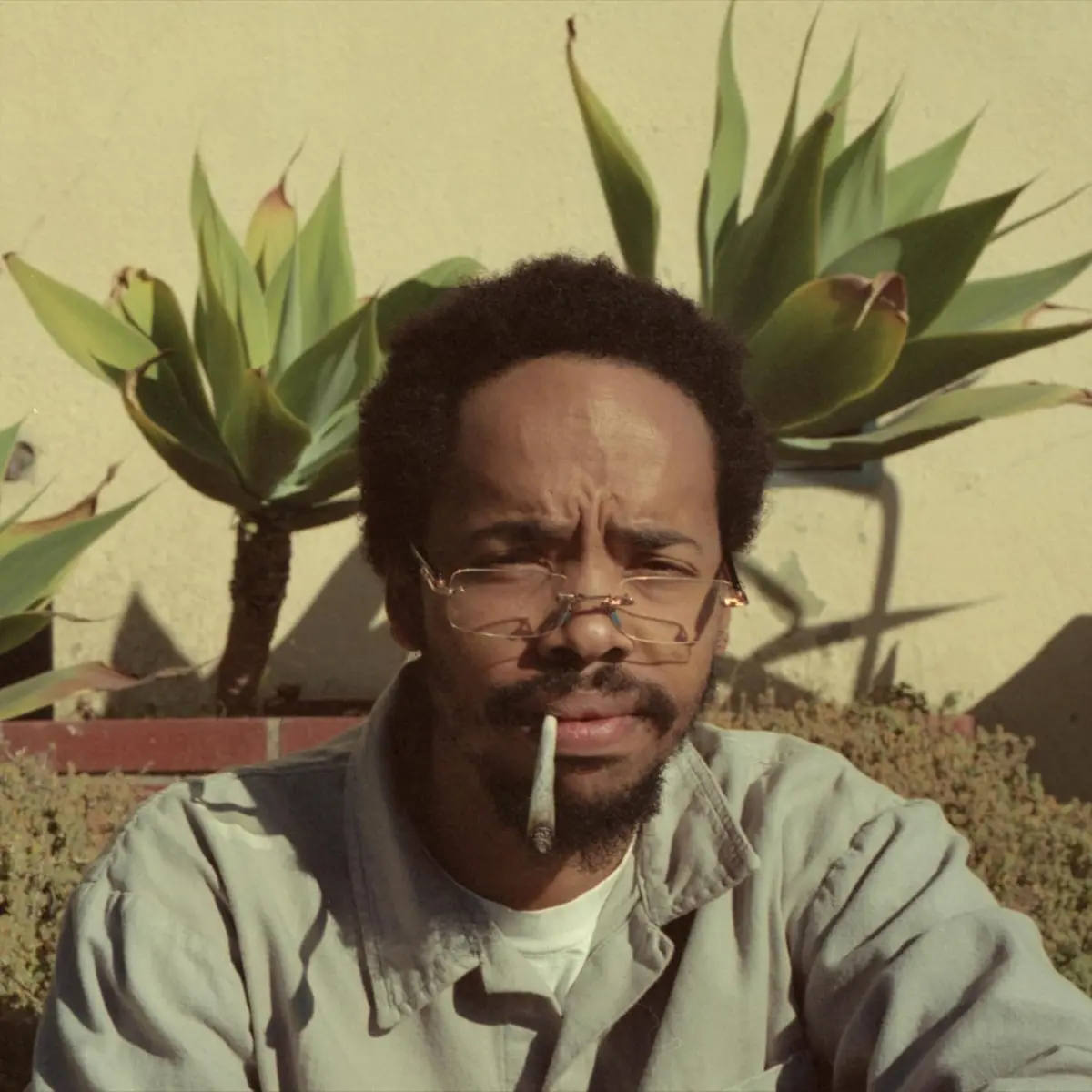 Earl Sweatshirt/Live Laugh Love [Cd] 1