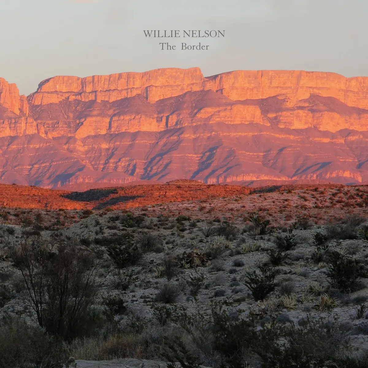 Nelson, Willie/The Border [Lp] 1