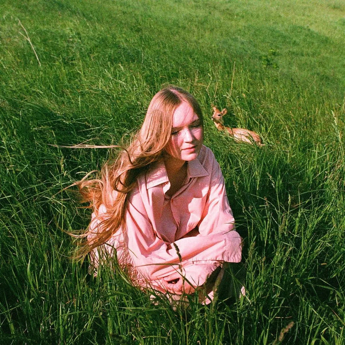 Babygirl/Stay Here Where It's Warm [Lp] 1