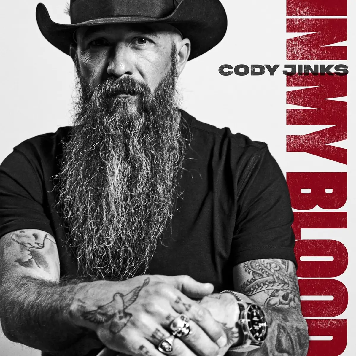 Jinks, Cody/In My Blood [Cd] 1