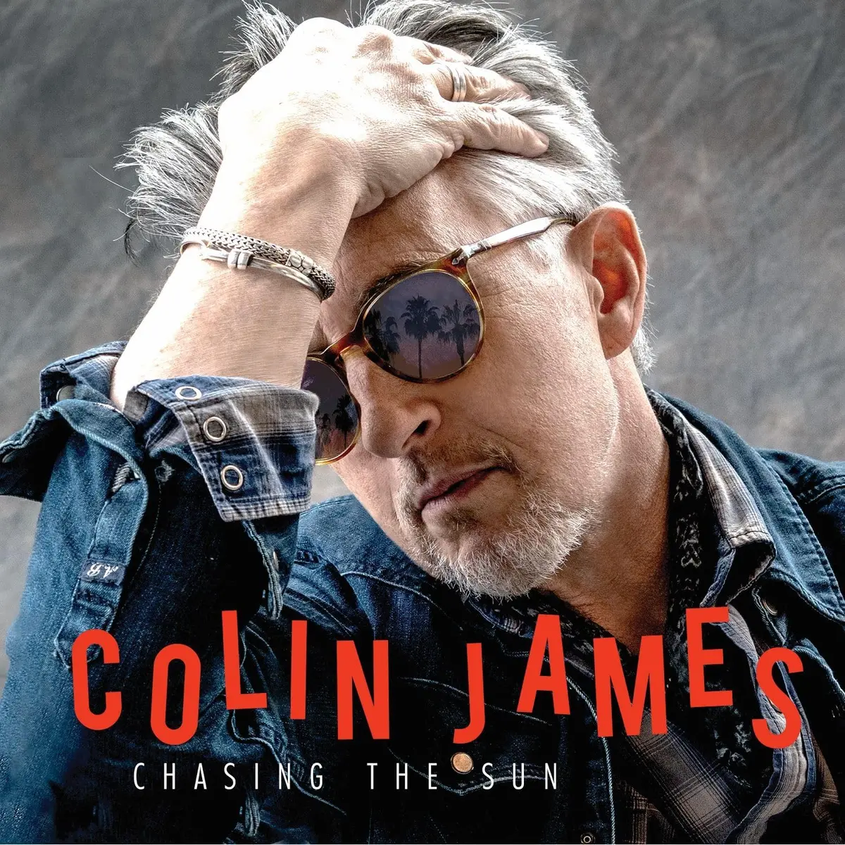 James, Colin/Chasing The Sun [Cd] 1