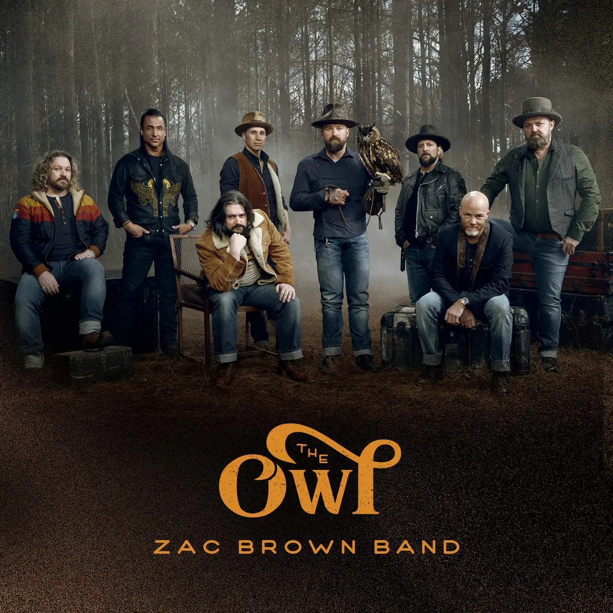 Brown, Zac/The Owl [Lp] 1